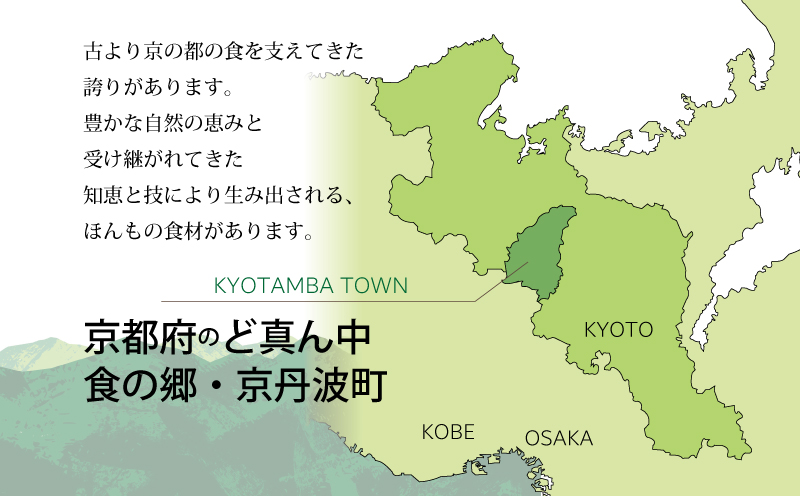 ボトルドウォーター 500ml×12本 飲料水 非常用 長期保存 5年保存