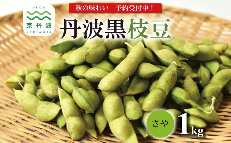 ≪先行予約≫丹波黒枝豆 さや 1kg（京都 京丹波町産 丹波黒大豆）≪秋だけの期間限定 数量限定≫【季節限定 おつまみ 枝豆 えだまめ 地域限定 黒豆 ご当地グルメ 特産品】※北海道・沖縄は配送不可 [008KK001L]