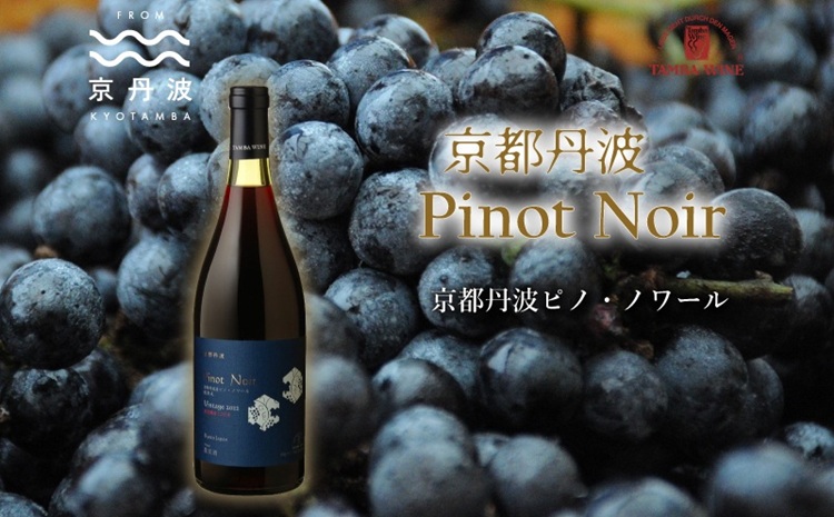 丹波ワイン 京都丹波 ピノノワール【 国産ぶどう使用 赤ワイン 国産ワイン ワイン 】　[022SJ001]