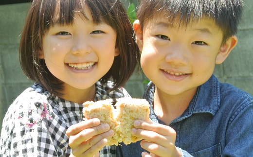 3種のおにぎり詰め合わせ（12個入り） ≪京都 佰食屋監修 常温保存可 無添加調理 たんぱく質10g以上≫