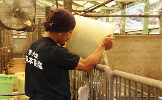 京丹波餃子 16個 2人前 京丹波ぽーく ぎょうざ ギョウザ 塩ポン酢付き 京丹波ラディッシュ 京丹波産野菜 国産 豚肉 ポーク オリジナル ブランド ご当地グルメ お取り寄せ ※北海道・沖縄・その他離島は配送不可 [006KT001]