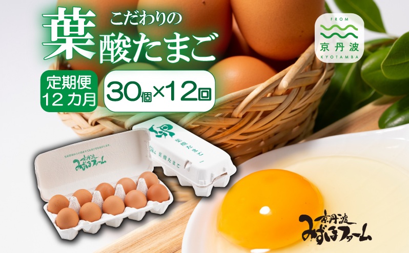【定期便】葉酸たまごの定期便 12カ月連続 ※北海道・東北・沖縄・その他離島は配送不可