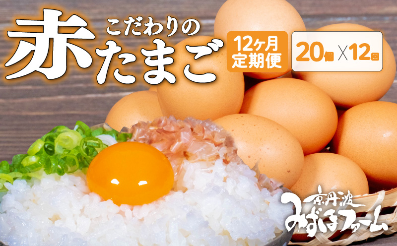 【定期便】赤たまご 20個 12回 毎 月 12カ月 定期 お届け こだわり 卵 たまご 濃い 玉子 セット 玉 子焼き 卵焼き オムレツ 卵かけ ご飯 ゆで卵 鶏卵 卵黄 ※北海道・東北・沖縄・その他離島は配送不可 [052MF001R]