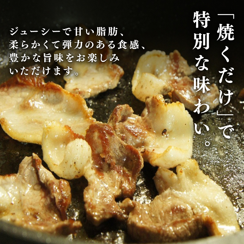 【3回定期便】  京丹波ぽーく プレミアム 切り落とし 1kg ×3カ月 合計3kg 3回 定期便 京都 京丹波町  国産 豚肉 デュロック種 京都ポーク ポーク オリジナル ブランド ※北海道・東北・沖縄・その他離島への配送不可
