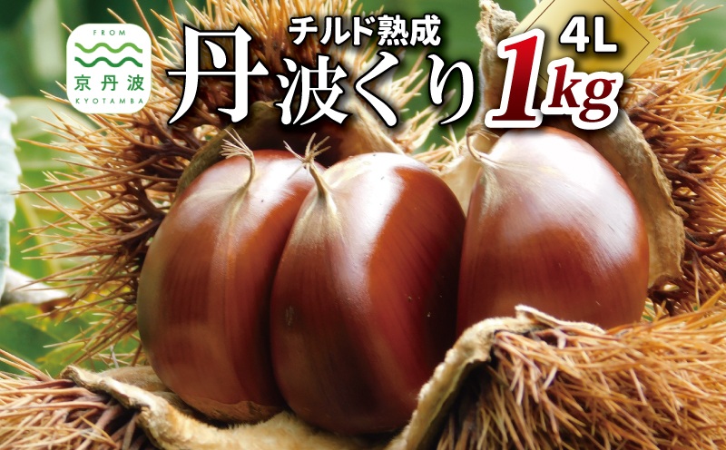チルド熟成 丹波くり 4L 1kg（京都　京丹波町産　丹波栗　熟成　生栗） ※北海道・沖縄・その他離島は配送不可