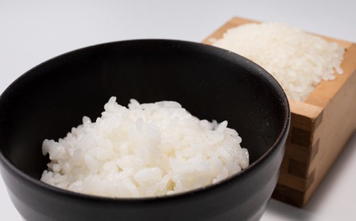 京丹波こしひかり 5kg 訳あり 《 数量限定 》 令和7年産 京都 精米 白米 コシヒカリ ※北海道・沖縄・その他離島は配送不可