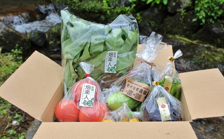 新鮮お野菜ボックス（京都・京丹波町産）≪栽培期間中農薬不使用の安心安全こだわり野菜≫