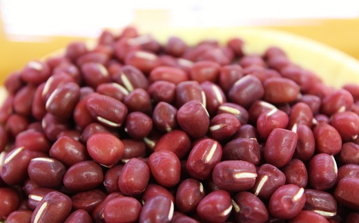 瑞穂大納言小豆 1kg 【地域限定 京丹波町産 ブランド 小豆 あずき あんこ 赤飯 京都 】