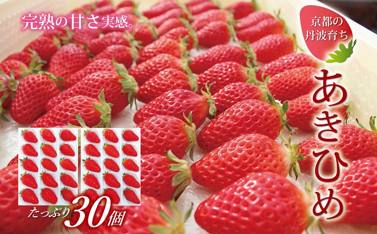 [2025年1月以降発送予定]京都 丹波高原育ちのいちご あきひめ スモール 30個 (15個×2パック) 京丹波町産 完熟 いちご 甘さ抜群 京都誠志郎農園 ※北海道・東北・沖縄・離島はお届け不可。