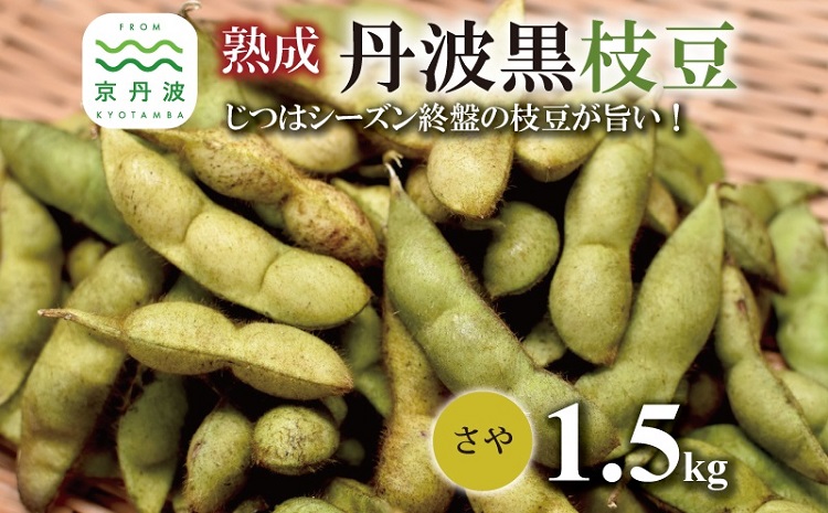 熟成 丹波黒枝豆 さや 1.5kg（京都 京丹波町産 丹波黒大豆）≪秋だけの期間限定 数量限定≫【季節限定 おつまみ 枝豆 えだまめ 地域限定 黒豆 ご当地グルメ 特産品】※北海道・沖縄・その他離島は配送不可 [010KK002L]