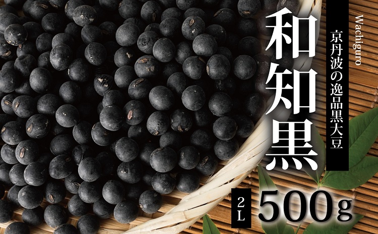 京都丹波の黒豆「和知黒」　2Lサイズ　500g（生産地域限定　京都・京丹波町産　黒大豆）