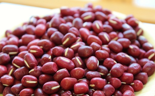 瑞穂大納言小豆 1kg 【地域限定 京丹波町産 ブランド 小豆 あずき あんこ 赤飯 京都 】