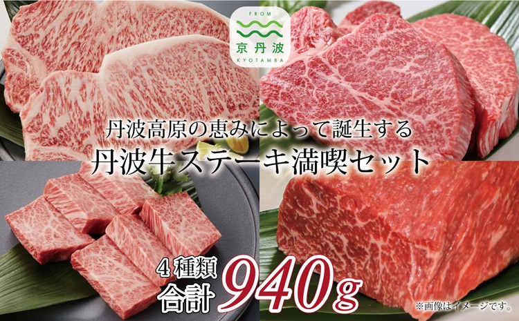 丹波牛ステーキ満喫セット ( 和牛 黒毛和牛 京都 丹波 丹波牛 牛肉 ステーキ サーロイン A5 フィレ ランプ 霜ふり 赤身 赤身肉 ) [069IZ001]