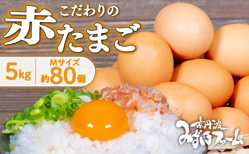 京都 こだわり卵 赤たまご 約80個 5kg たまご 濃い 玉子  玉子焼き 卵焼き オムレツ 卵かけご飯 ゆで卵 鶏卵 卵黄 ※北海道・沖縄・その他離島は配送不可 [010MF004]