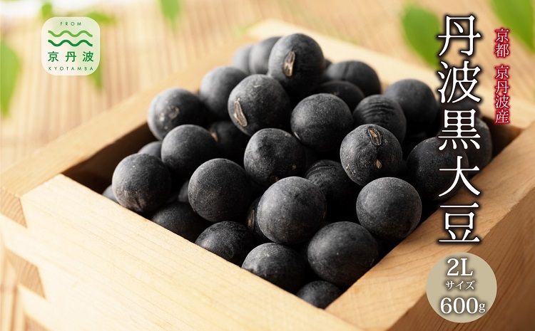 【 年内発送 】 丹波黒大豆 2Lサイズ 600g お正月 おせち用 京都 京丹波町産 丹波黒豆 新豆 国産 お取り寄せ ご当地グルメ 生産者限定 令和7年産 2L 生豆 大粒 小分け ※北海道・沖縄・その他離島は配送不可