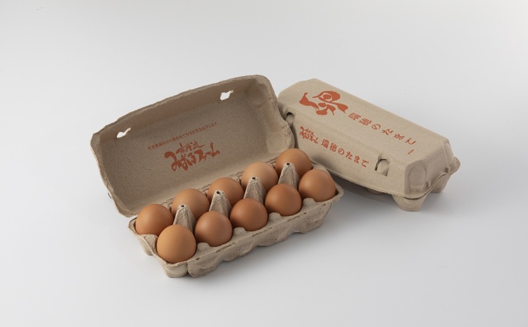 【定期便】赤たまご 30個 12回 毎 月 12カ月 定期 お届け こだわり 卵 たまご 濃い 玉子 セット 玉 子焼き 卵焼き オムレツ 卵かけ ご飯 ゆで卵 鶏卵 卵黄 ※北海道・東北・沖縄・その他離島は配送不可 [076MF002R]