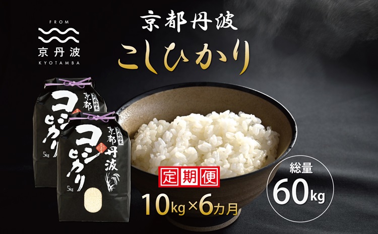 【6カ月定期便】 京丹波こしひかり 10kg×6カ月連続 合計60kg 令和6年産 新米 京都 米 精米 コシヒカリ ※北海道・東北・沖縄・その他離島は配送不可 [090MB003R]