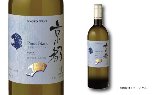 【6回定期便】丹波ワイン 6カ月 定期便 【 丹波ワイン 国産ぶどう使用 国産ワイン 京都 丹波 自社農園 白ワイン 赤ワイン ワイン 】 ※北海道・東北・沖縄・その他離島は配送不可 [170SJ001R]