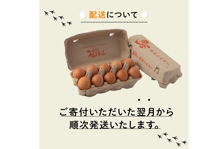 京都 こだわり卵 赤たまご 30個 たまご 濃い 玉子  玉子焼き 卵焼き オムレツ 卵かけご飯 ゆで卵 鶏卵 卵黄 ※北海道・沖縄・その他離島は配送不可 [007MF001]