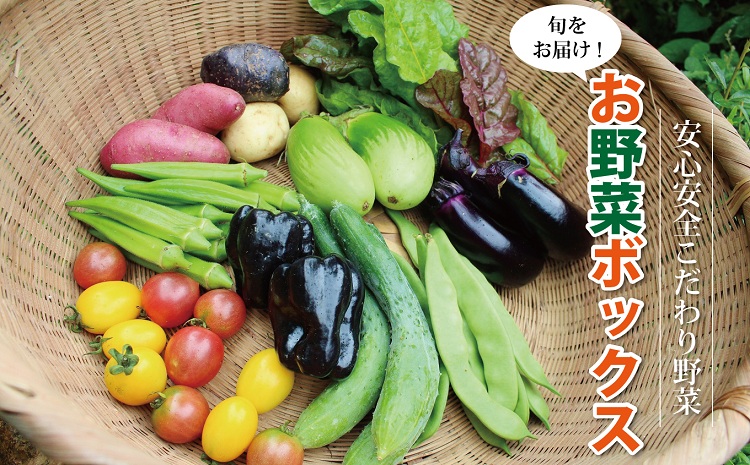 新鮮お野菜ボックス（京都・京丹波町産）≪栽培期間中農薬不使用の安心安全こだわり野菜≫