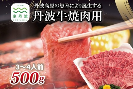 【2026年1月中旬以降発送】丹波牛 焼肉用 500g 3～4人前 【 黒毛和牛 国産牛 焼肉 丹波牛 赤身 霜降り 焼肉のタレ付き たれ 京都 丹波 いづつ屋 】