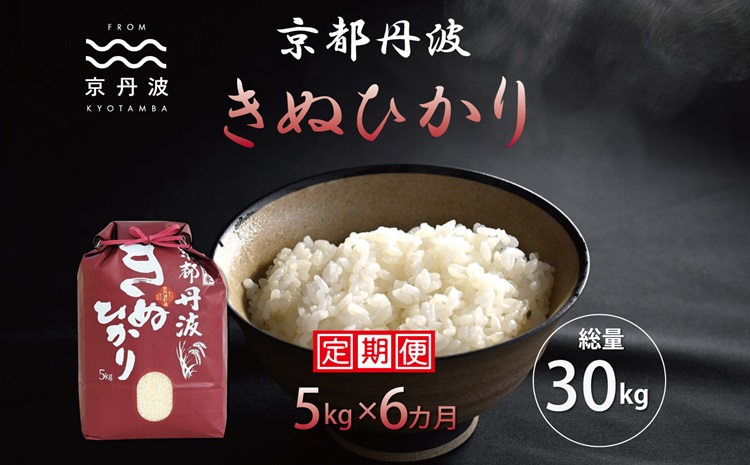 【6カ月定期便】 京丹波きぬひかり 5kg×6カ月連続 合計60kg 令和6年産 新米 京都 米 精米 キヌヒカリ ※北海道・東北・沖縄・その他離島は配送不可 [060MB004R]