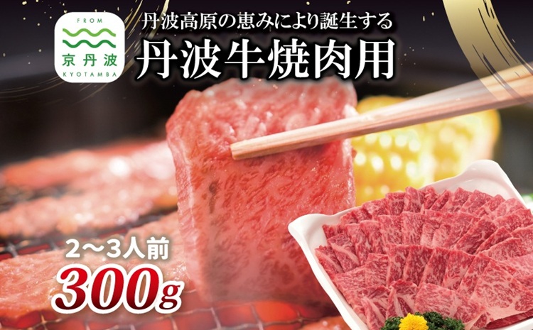 【2026年1月中旬以降発送】 丹波牛 焼肉用 300g 2～3人前 【 黒毛和牛 国産牛 焼肉 丹波牛 赤身 霜降り 焼肉のタレ付き たれ 京都 丹波 いづつ屋 】 [015IZ003]