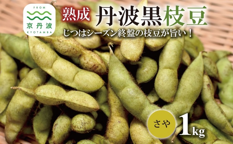 熟成 丹波黒枝豆 さや 1kg（京都 京丹波町産 丹波黒大豆）≪秋だけの期間限定 数量限定≫【季節限定 おつまみ 枝豆 えだまめ 地域限定 黒豆 ご当地グルメ 特産品】※北海道・沖縄・その他離島は配送不可 [008KK001L]
