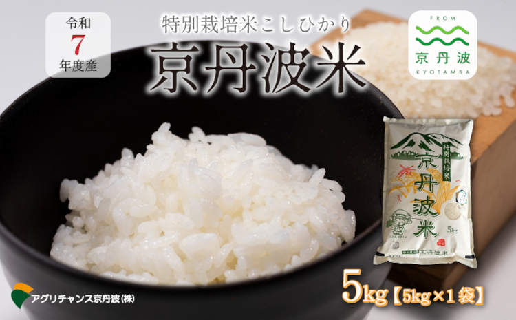特別栽培米 こしひかり 京丹波町産 5kg 令和7年産米 精米 お米 京都 丹波 コシヒカリ 特A獲得 農家直送 ※北海道・沖縄・その他離島は配送不可 [012AGC001]