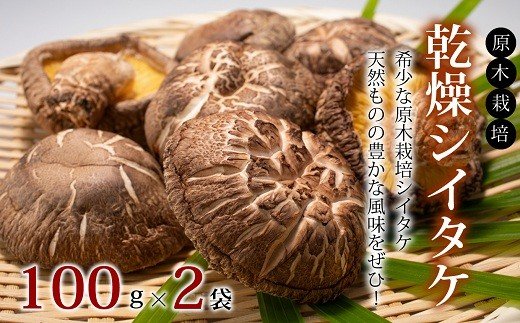 乾燥シイタケ詰め合わせ 原木栽培 天然 しいたけ 京都 京丹波町産 椎茸
