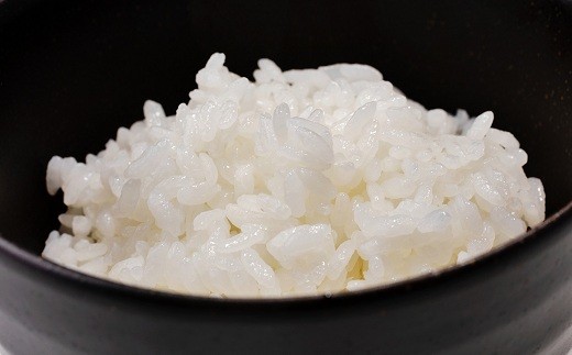 特別栽培米こしひかり  5kg 京都 京丹波町産 コシヒカリ 精米