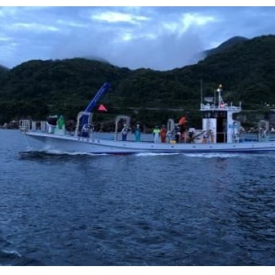 塩サバ 干しフィレ　片身6枚【配送不可地域：離島】【1496658】