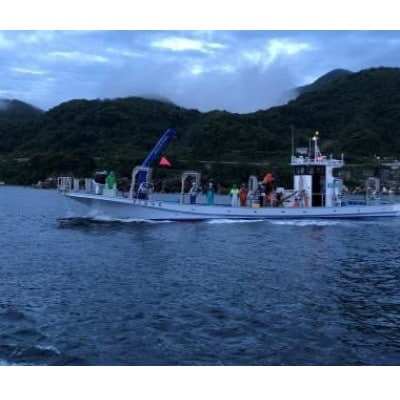 塩サバ 干しフィレ　片身8枚【配送不可地域：離島】【1496654】
