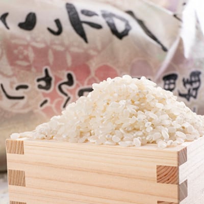 【2ヵ月毎定期便】京都与謝野町産コシヒカリ「京の豆っこ米」精米10kg【高島屋選定品】全3回【4084640】