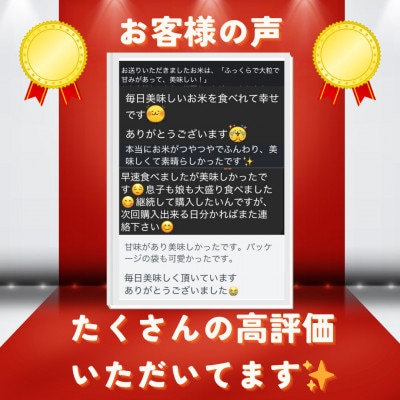【毎月定期便】京都府与謝野町産 丹後コシヒカリ 精米2kg　もちもちとした食感が特徴のお米全12回【4086603】