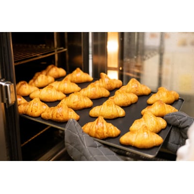 縲先ゥ狗ォ九吶う繝帙ユ繝ォ縲代壹い螳ソ豕雁虻縲1豕頑悃鬟滉サ倥繝繝ゥ繝繧ッ繧ケ繝繧、繝ウ34蟷ウ邀ウ縲1476093縲