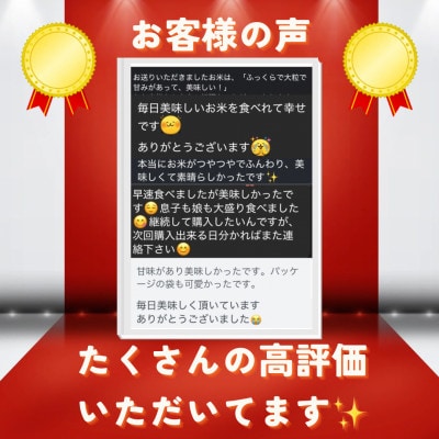 【毎月定期便】京都府与謝野町産 丹後コシヒカリ 精米5kg　特別栽培米 京の豆っこ米全12回【4083193】
