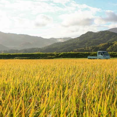 ãå
è¡åä»ã 什å8幎æ°ç±³ã倧æ±å±±ã®éºã京éœåºäžè¬éçºã§è²ã£ãäž¹åŸç£ã³ã·ãã«ãªã粟米5kgãæ°ééå®ã1725895ã