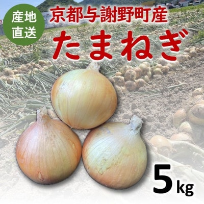 【期間限定】 玉ねぎ 約5kg　京都与謝野町のこだわり栽培たまねぎ　【AGRIST】【1754648】