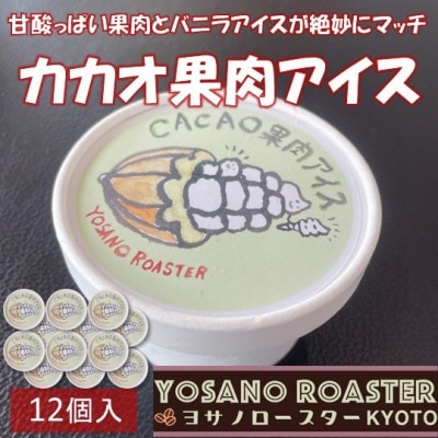 カカオ果肉入りアイス　12個入　バニラアイスと甘酸っぱい果肉が相性バツグンのアイスクリーム【配送不可地域：離島】【1742133】