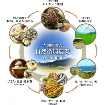 数量限定!令和7年産米 自然循環農業で育った京都与謝野町産コシヒカリ「京の豆っこ米」　精米25kg【1680788】