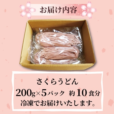さくらうどん 1kg(200×5パック) 桜の香りが広がるピンクの生うどん。お祝いやギフトにも。【配送不可地域：離島】【1551512】