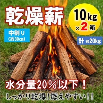 【毎月定期便】乾燥薪 キャンプ用 10kg×2箱 中割(約30cm) 広葉樹ミックス全3回【4087721】