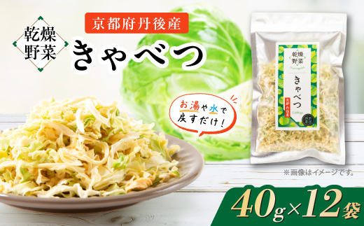 京都府丹後産【キャベツ】乾燥野菜　12袋　京都府与謝野町より　誠武農園のおいしい国産野菜　簡単料理【1628451】