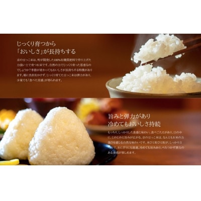 令和7年産米　京都与謝野町産コシヒカリ「京の豆っこ米」精米5kg　【誠武農園】 農家直送【1616157】