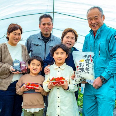 【毎月定期便】「京の豆っこ米」精米5kg　低農薬コシヒカリ　京都与謝野町　【伊達農園】全6回【4074806】