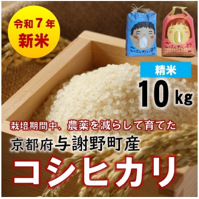 ふるさと納税 北海道 上富良野町 ゆめぴりか 精米 10kg ／北海道 上富良野産 〜It's Our Rice〜 ふるさと納税北海道 上富良野産「 ゆめぴりか 」特別