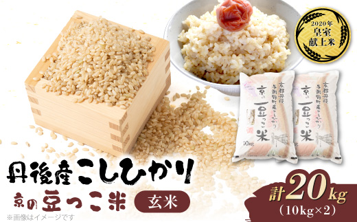 【先行受付】令和8年新米　数量限定　京都与謝野町産コシヒカリ「京の豆っこ米」玄米10kg×2袋【1724715】
