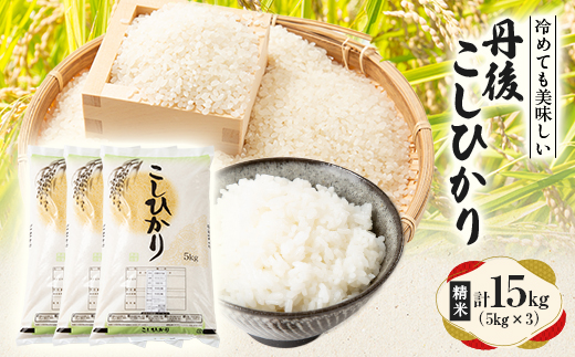 【令和7年産米】京都府与謝野町産 丹後コシヒカリ 精米15kg　もちもち食感が特徴のおいしいお米【1686754】
