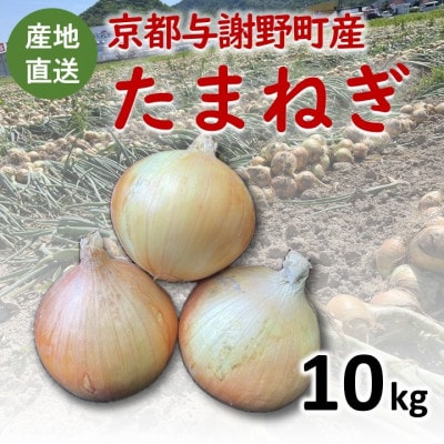 【期間限定】 玉ねぎ 約10kg　京都与謝野町のこだわり栽培たまねぎ　【AGRIST】【1754650】